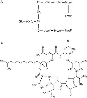 Anticancer Activities of Surfactin and Potential Application of Nanotechnology Assisted Surfactin Delivery